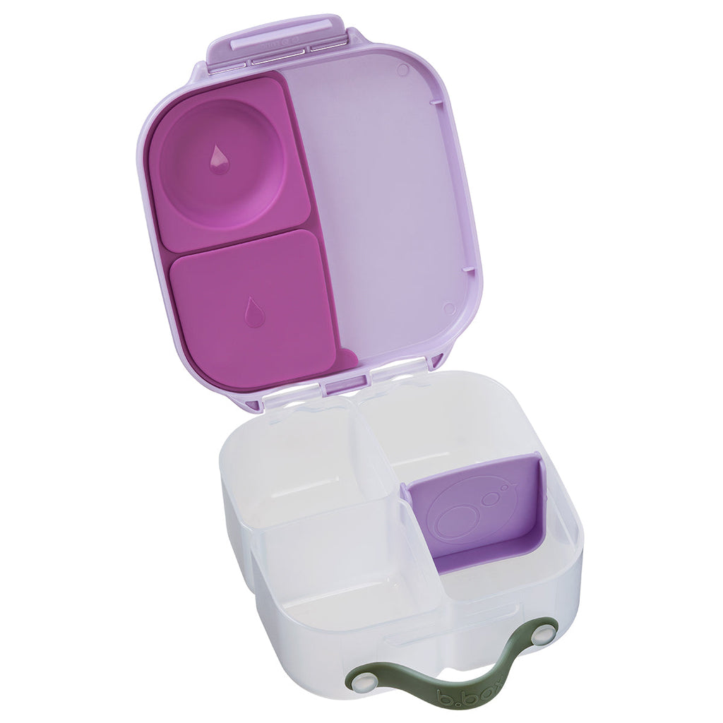 mini lunchbox - sugar plum