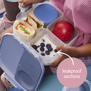 lunchbox - lemon twist