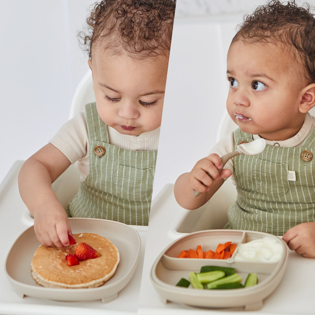 2 in 1 Suction Plate - ocean
