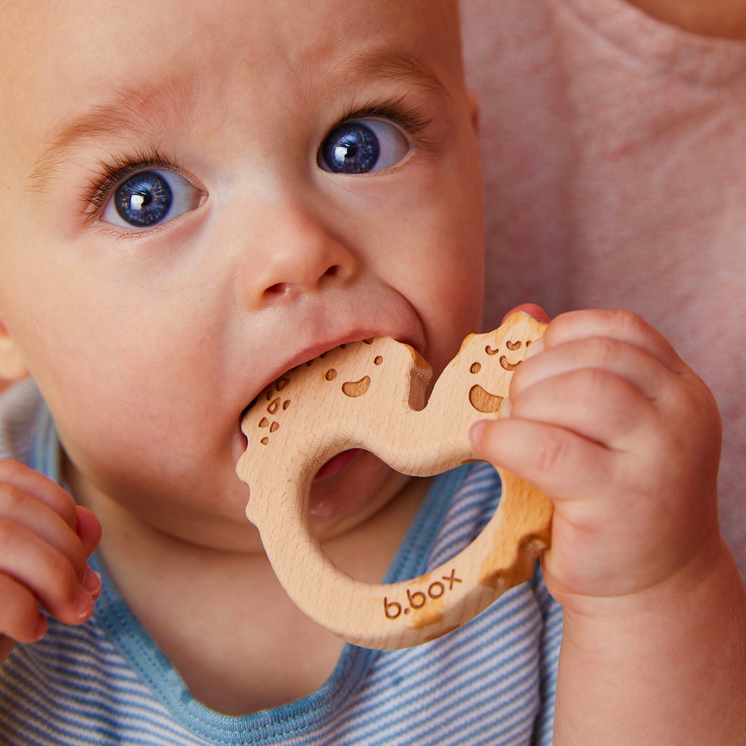 Trio Teether - Blush