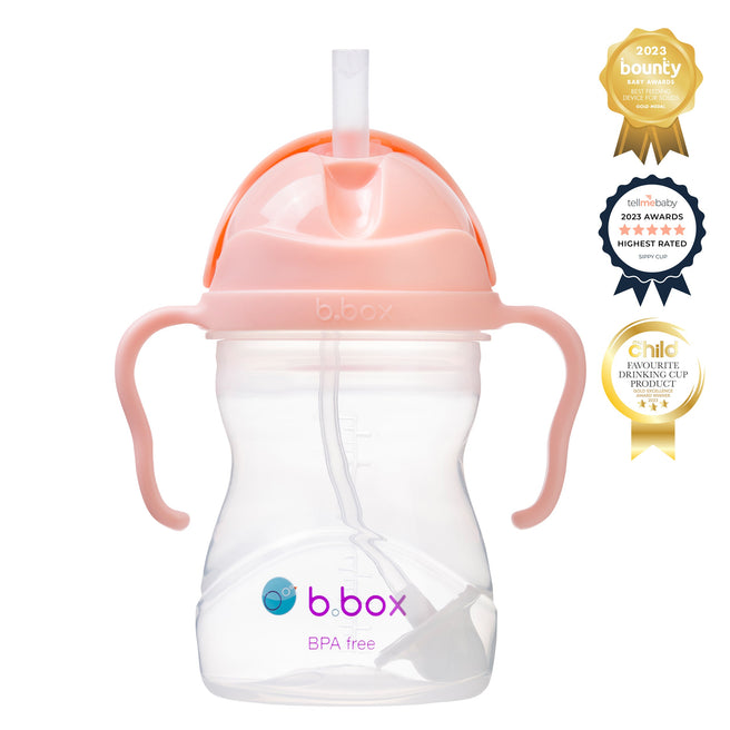 gelato sippy cup - tutti frutti